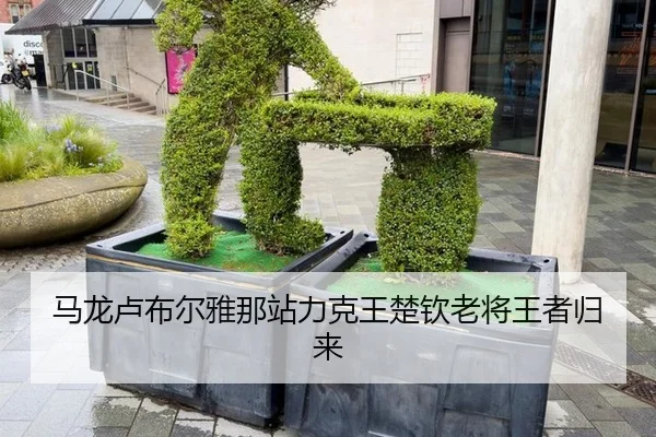 马龙卢布尔雅那站力克王楚钦老将王者归来