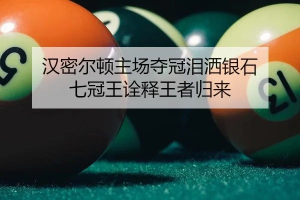 han-mi-er-dun-zhu-chang-duo-guan-lei-sa-yin-shi-qi-guan-wang-quan-shi-wang-zhe-gui-lai-2-982.jpg