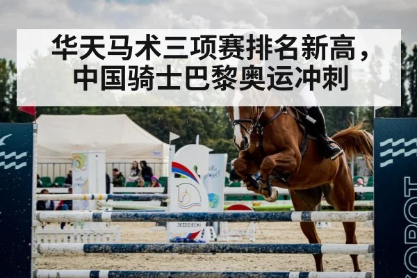 horse show jumping