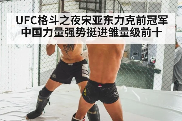 MMA knockout punch